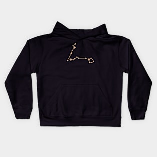 Pisces Zodiac Constellation in Rose Gold - Black Kids Hoodie